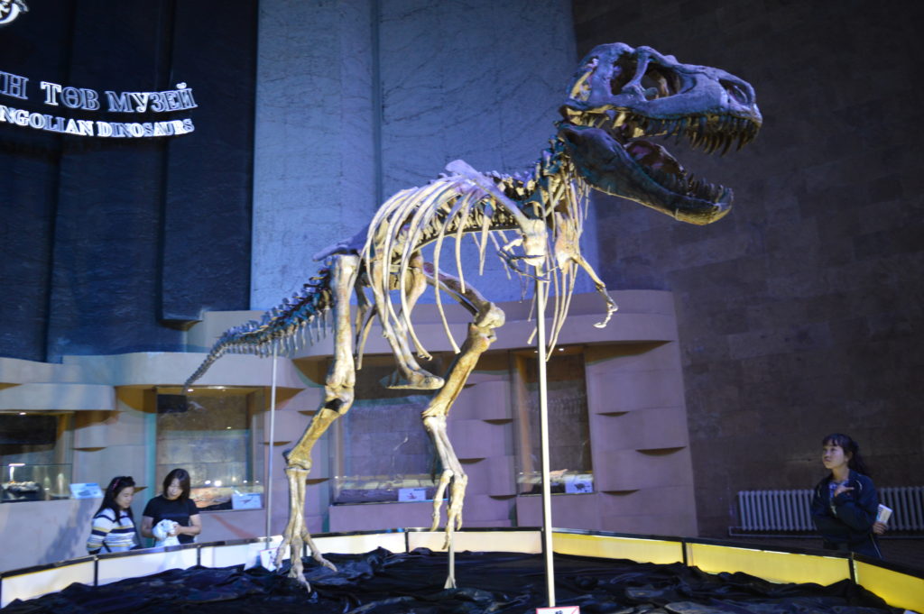 Museo de los Dinosaurios de Ulán Bator